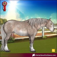 Horse Color:White Spotted Silver Brown Dun Mushroom 
