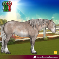 Horse Color:White Spotted Silver Brown Dun Mushroom