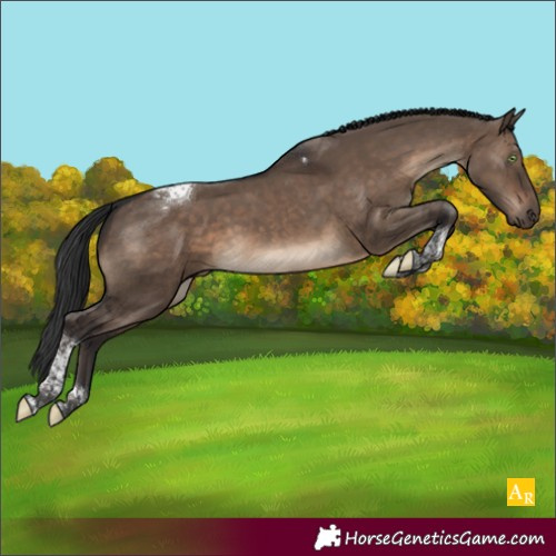 Horse Color:Brown Dun Tobiano