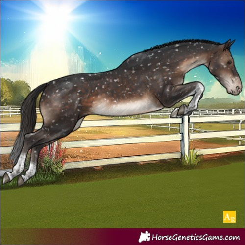 Horse Color:White Spotted Brown Tobiano Appaloosa Rabicano 