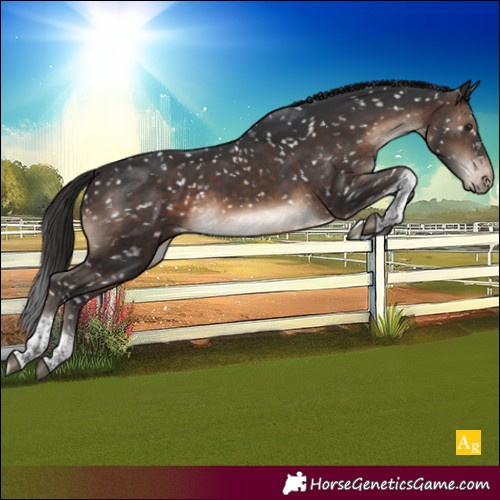 Horse Color:White Spotted Brown Tobiano Snowflake Varnish Rabicano 