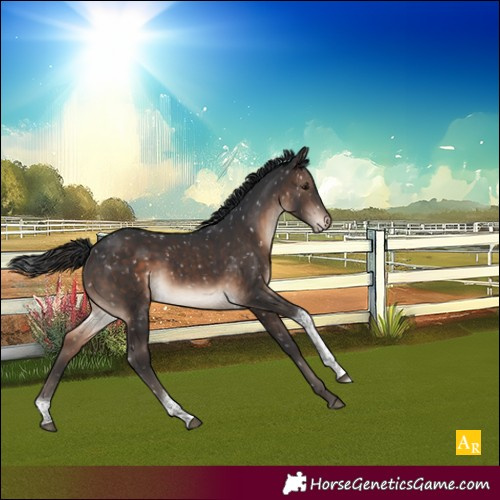 Horse Color:White Spotted Brown Tobiano Appaloosa Rabicano 