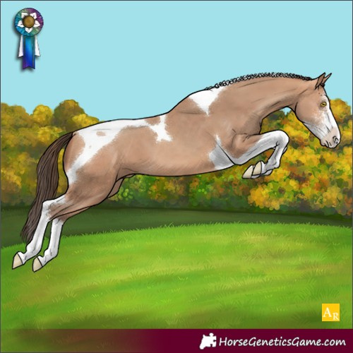 Horse Color:Amber Champagne Sabino Tobiano 