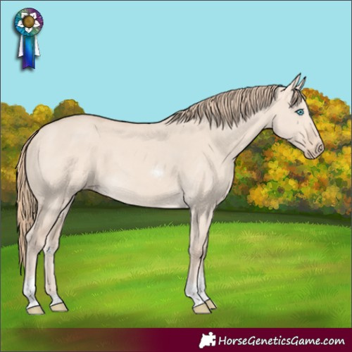 Horse Color:Perlino Dun Tobiano