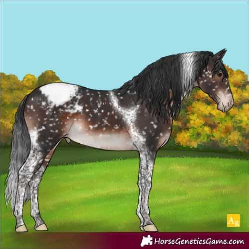 Horse Color:Brown Mushroom Tobiano Snowcap