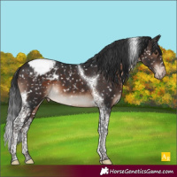 Horse Color:Brown Mushroom Tobiano Snowcap 