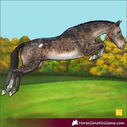 Horse Color:Brown Dun Tobiano Appaloosa Brindle
