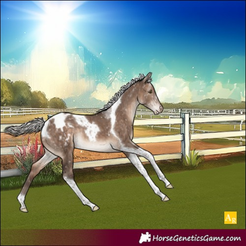 Horse Color:Silver Brown Dun Mushroom Tobiano Appaloosa Rabicano Brindle
