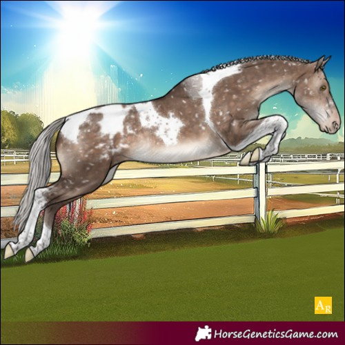 Horse Color:Silver Brown Dun Mushroom Tobiano Appaloosa Rabicano Brindle 