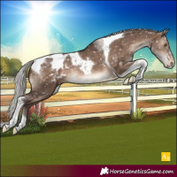 Horse Color:Silver Brown Dun Mushroom Tobiano Appaloosa Rabicano Brindle 