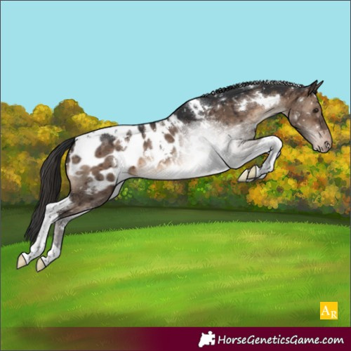 Horse Color:White Spotted Brown Dun Tobiano Blanket Brindle 