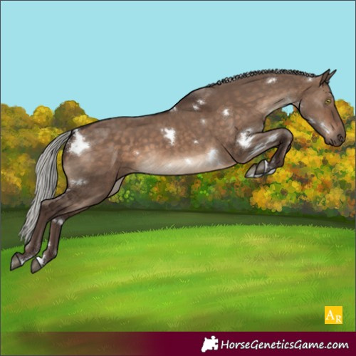 Horse Color:White Spotted Silver Brown Dun