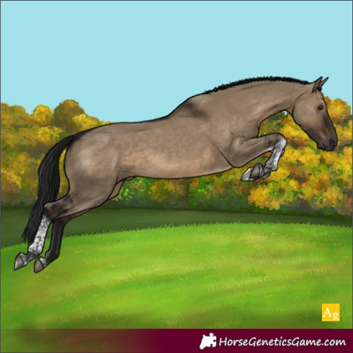 Horse Color:Gray Brown Dun Tobiano 