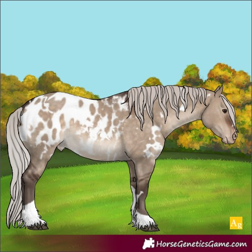 Horse Color:White Spotted Silver Brown Dun Tobiano Appaloosa