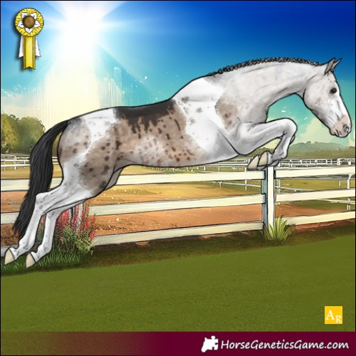 Horse Color:White Spotted Brown Dun Tobiano Brindle