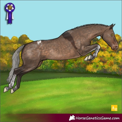 Horse Color:Silver Brown Dun Tobiano Appaloosa Rabicano 
