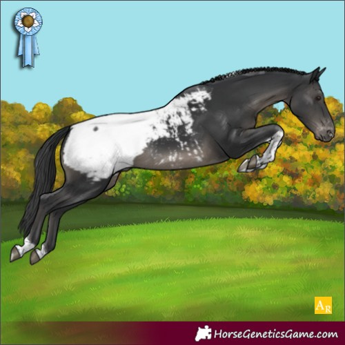Horse Color:Black Tobiano Snowcap