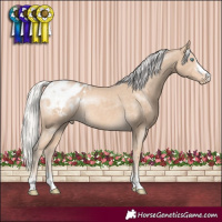 Horse Color:Silver Perlino Blanket Rabicano