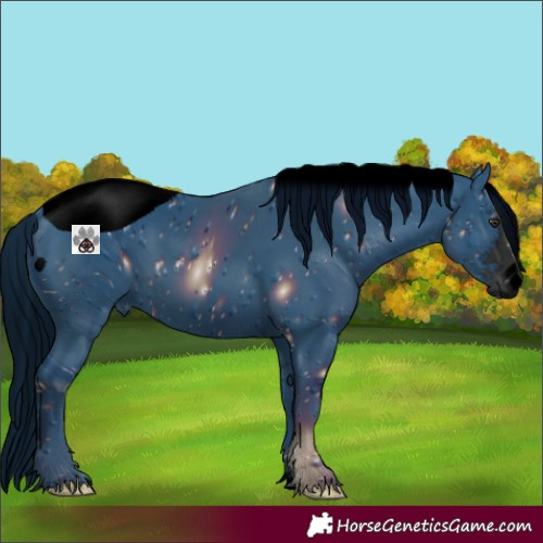 Horse Color:ERROR: UNKNOWN ANOMALY