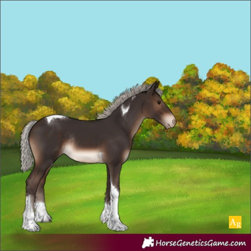 Horse Color:Silver Brown Tobiano Appaloosa Rabicano