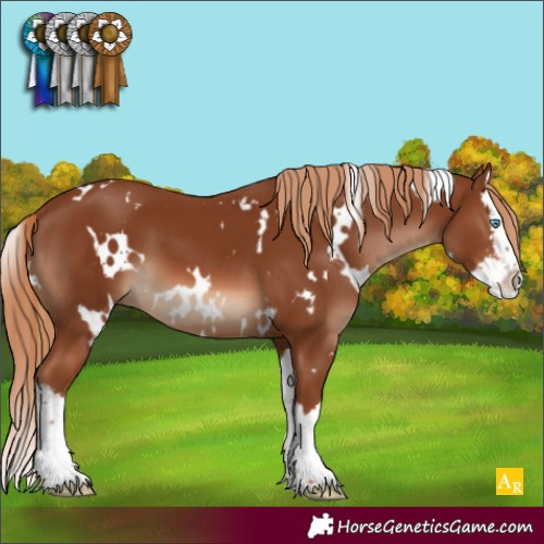 Horse Color:White Spotted Chestnut Sabino Splash