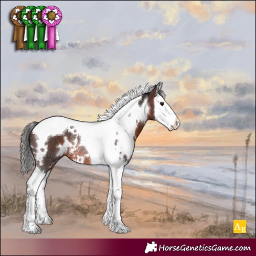 Horse Color:White Spotted Brown Splash Tobiano Rabicano 