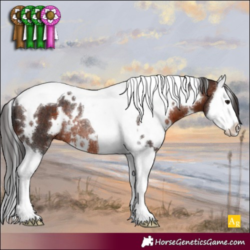 Horse Color:White Spotted Brown Splash Tobiano Rabicano