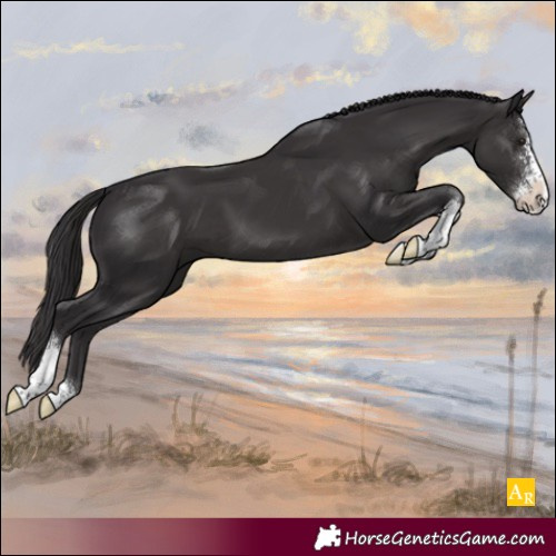 Horse Color:Smoky Black Sabino