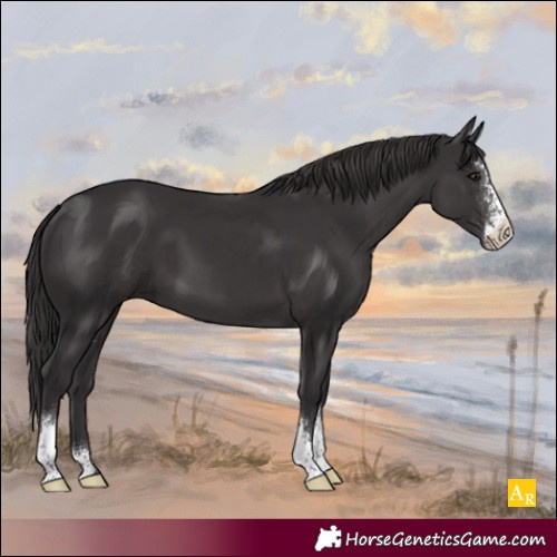 Horse Color:Smoky Black Sabino 