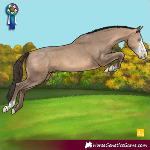 Horse Color:Amber Champagne Sabino