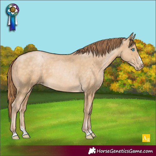 Horse Color:Buckskin Pearl 