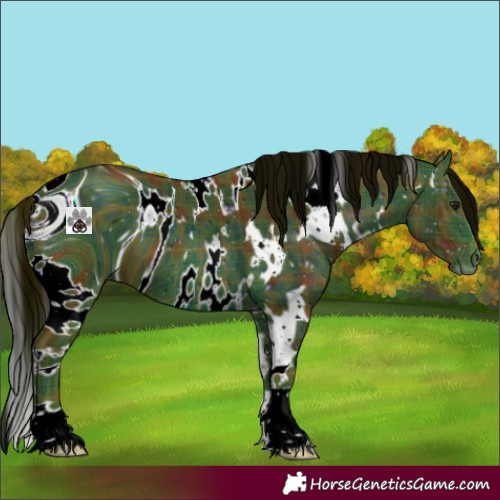 Horse Color:ERROR: UNKNOWN ANOMALY