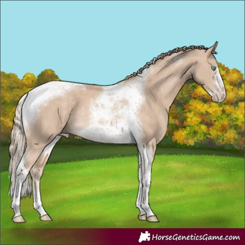 Horse Color:Perlino Tobiano Frame Varnish Rabicano 