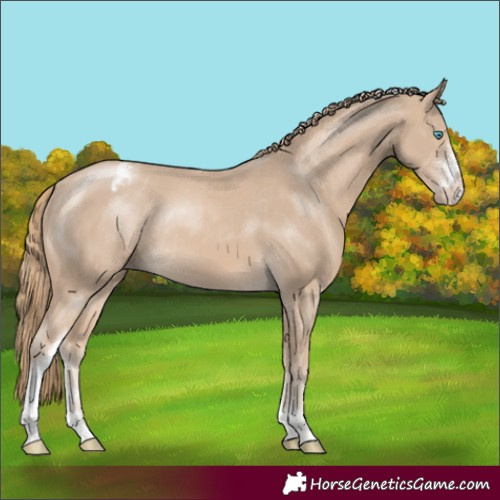 Horse Color:Smoky Creme Sabino Tobiano Appaloosa Rabicano 