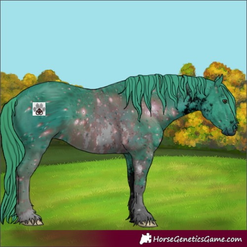 Horse Color:ERROR: UNKNOWN ANOMALY