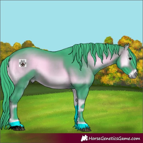 Horse Color:Void Watercolor Brown Onyx