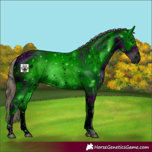 Horse Color:ERROR: UNKNOWN ANOMALY