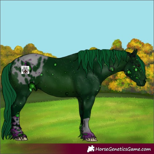 Horse Color:ERROR: UNKNOWN ANOMALY