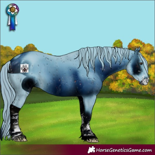 Horse Color:ERROR: UNKNOWN ANOMALY