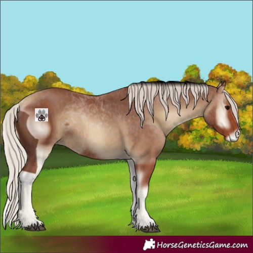 Horse Color:ERROR: UNKNOWN ANOMALY