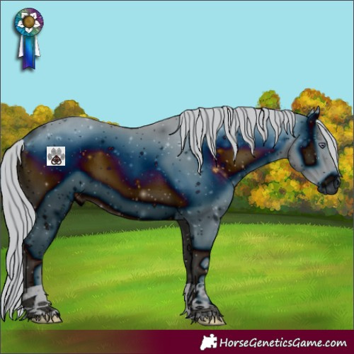 Horse Color:ERROR: UNKNOWN ANOMALY