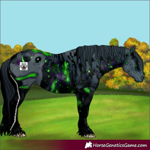 Horse Color:ERROR: UNKNOWN ANOMALY