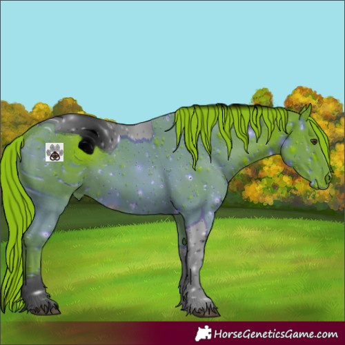 Horse Color:ERROR: UNKNOWN ANOMALY
