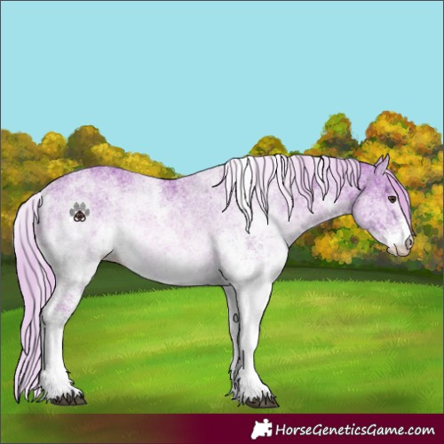 Horse Color:Watercolor White Spotted Chestnut
