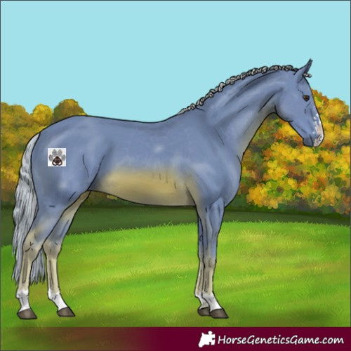 Horse Color:Watercolor Chocolate Palomino 