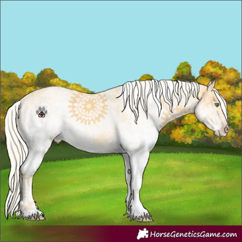 Horse Color:White Spotted Gold Cream Champagne 