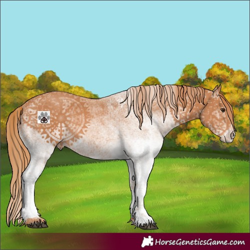 Horse Color:White Spotted Chestnut Rabicano 