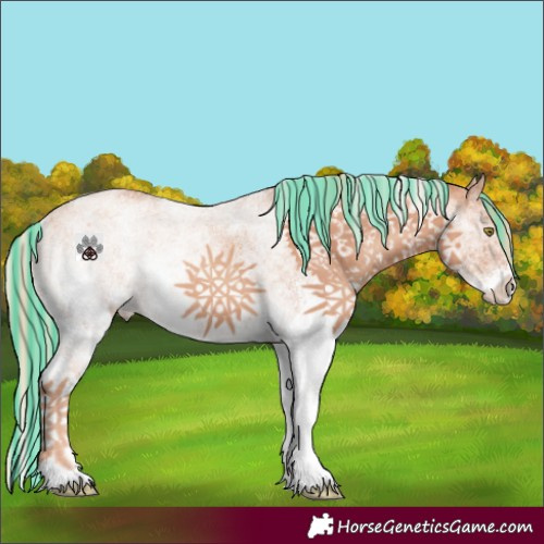 Horse Color:Painted White Spotted Gold Champagne Rabicano 