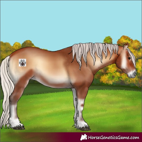 Horse Color:Silver Bay Onyx 