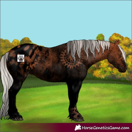 Horse Color:Void White Spotted Silver Bay Tobiano Appaloosa Rabicano